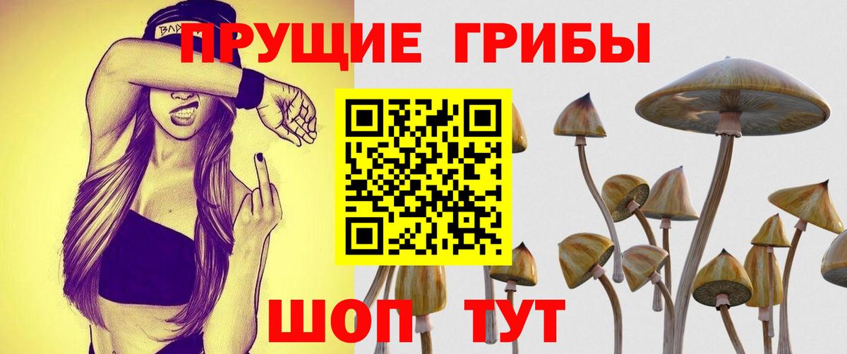 Псилоцибиновые грибы ЛСД Обь